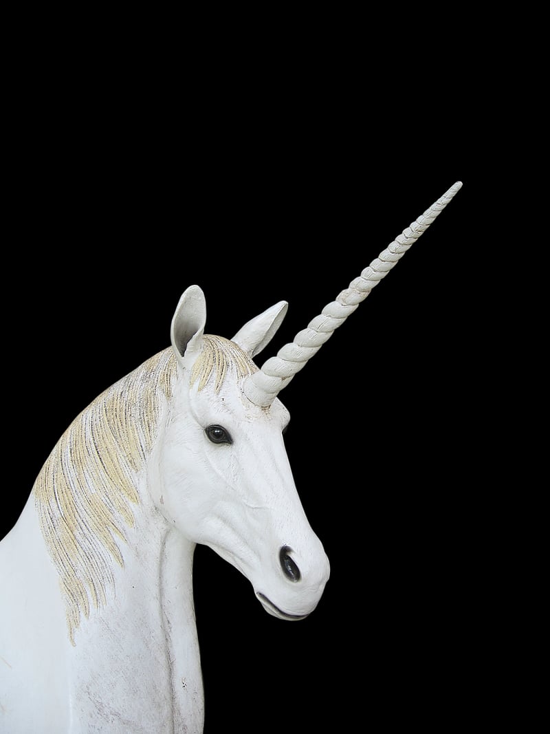 Unicorn Portrait