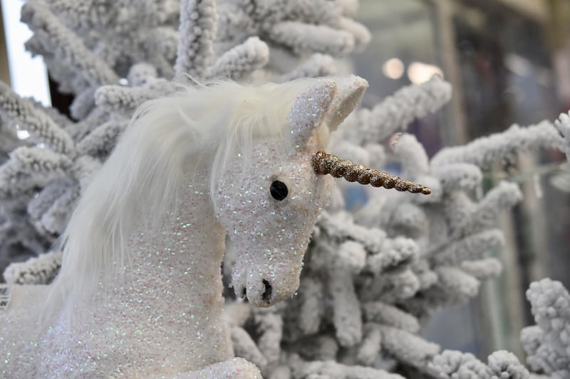 Unicorn Petting Zoo